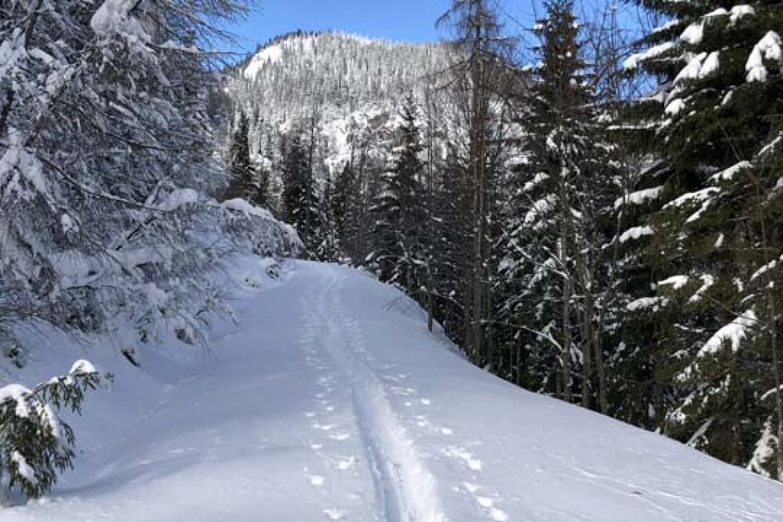 Chalet_Ferienhaus_Steiermark_wald winter